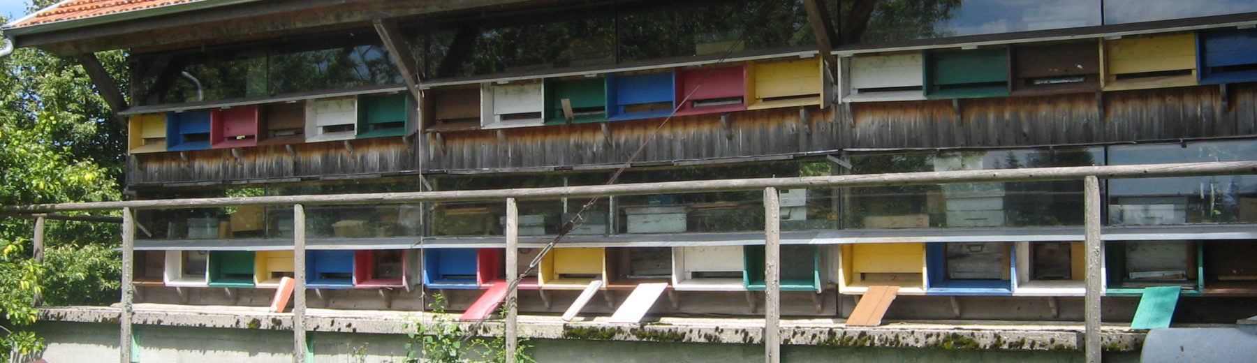 Apiculture du Haut Bugey